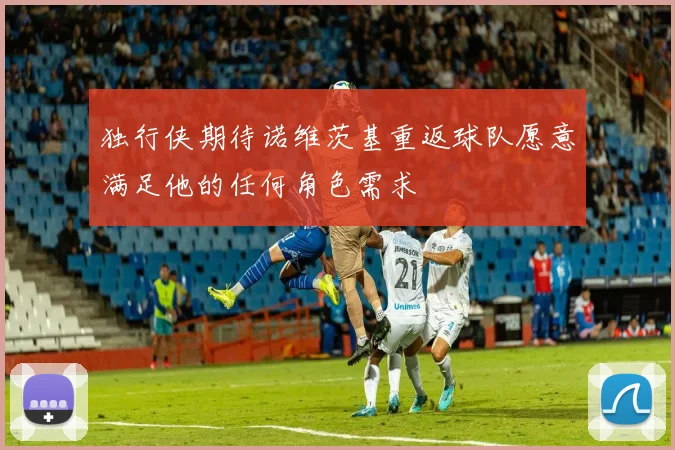 独行侠期待诺维茨基重返球队愿意满足他的任何角色需求