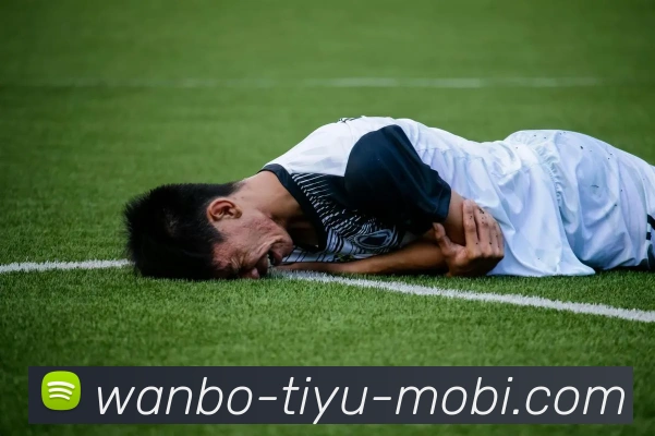 多媒体互动体验