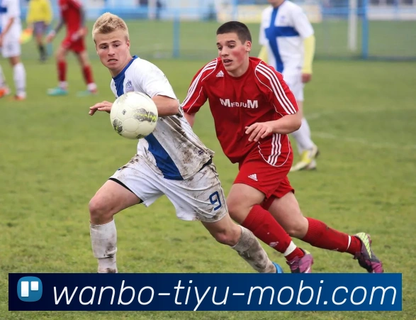 万博体育APP 高清赛事图